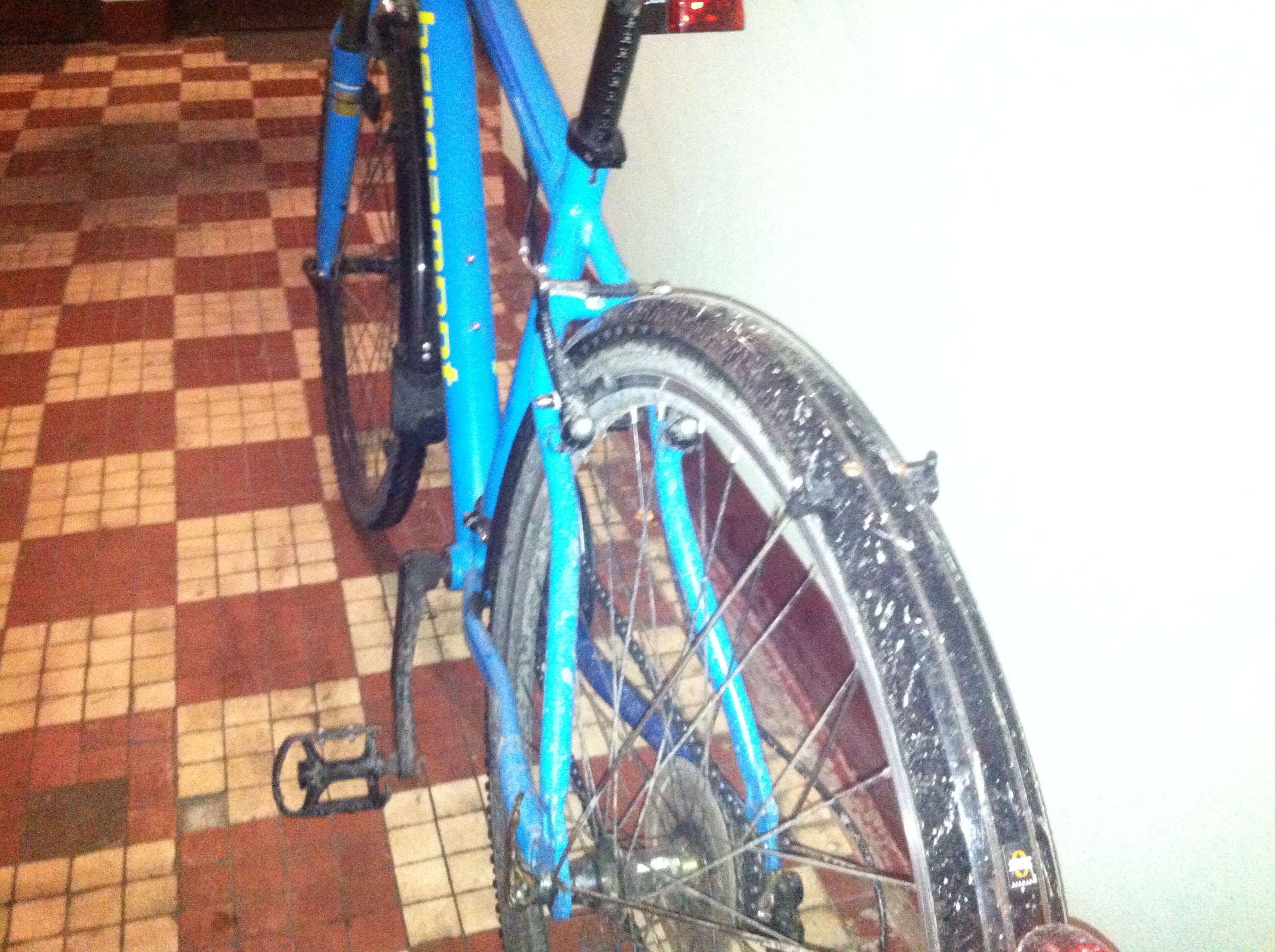 велосипед после поездки в дождь с крыльями sks Bluemels 28'